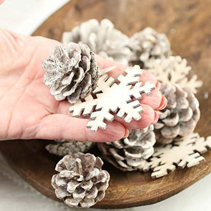 Factory Direct Craft Winter White Washed Pinecones and Snowflakes Package