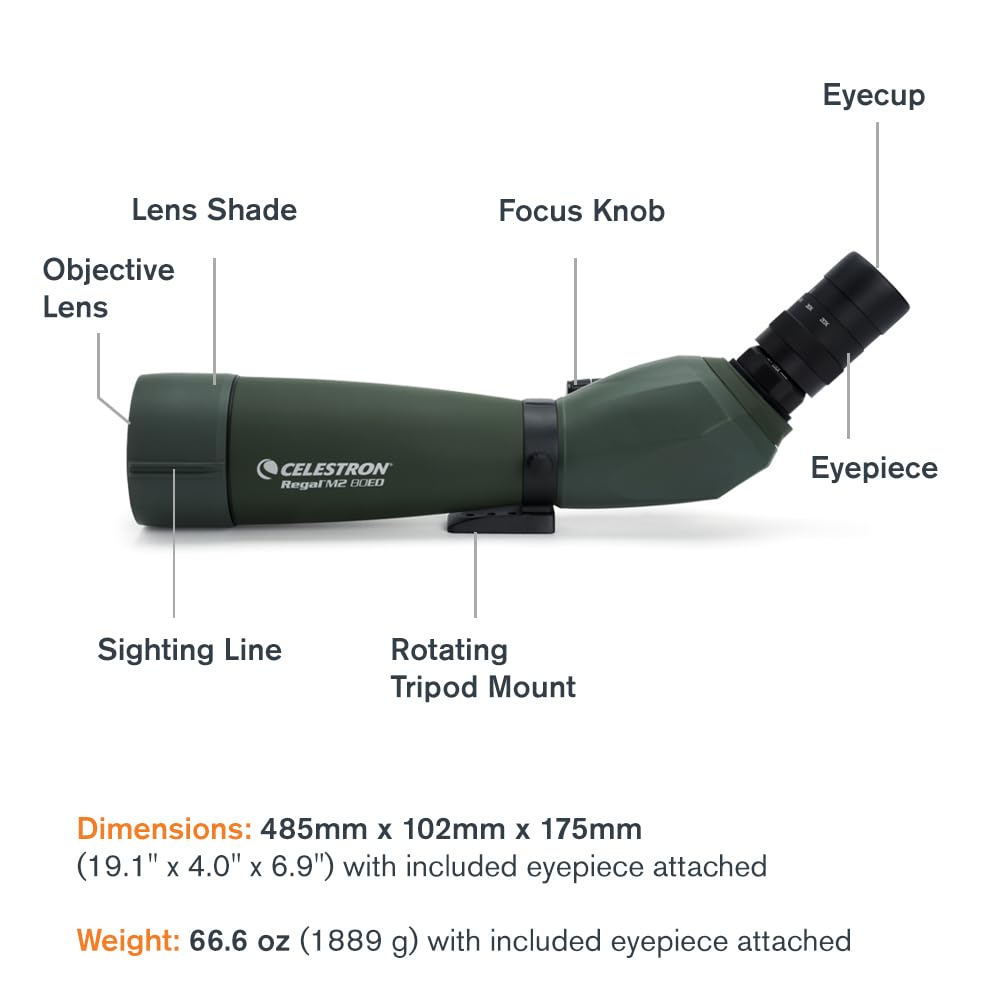 Celestron – Regal M2 80ED Spotting Scope – ED Glass for Birding and Outdoor Activities – Phase and Dielectric Coated BaK-4 Prism – Fully Multi-Coated Optics – Dual Focus – 20-60x Zoom Eyepiece