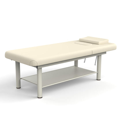 Heavy Duty Professional Stationary Massage Bed Wide Stationary Massage Table with Backrest for Treatment Table Physical Therapy Table Spa Facial Bed, Metal Frame PU Leather (Integral Structure)