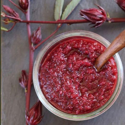 1/4 2026 TomorrowSeeds - Red Hibiscus Roselle Seeds - Pound - for Planting Hibiscus Sabdariffa Burmese Chin Baung