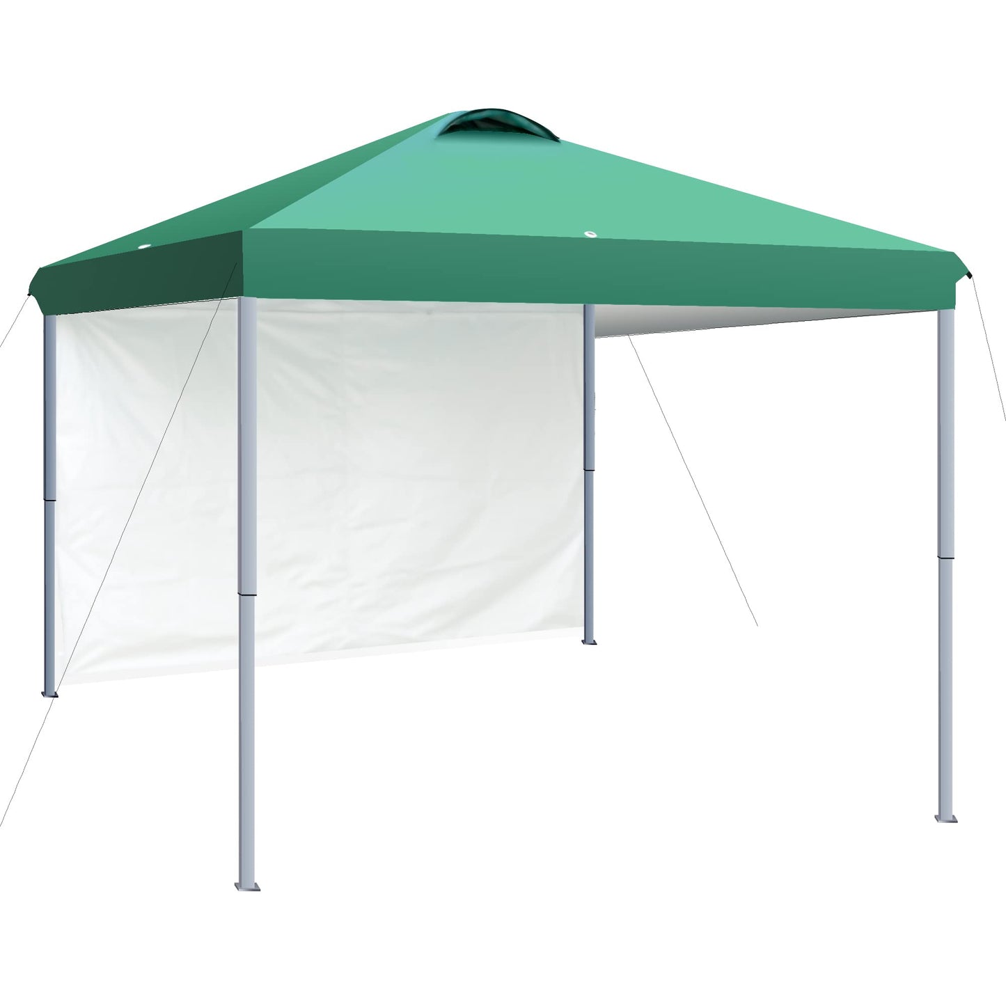 SlowSnail 10x10 Pop Up Canopy Tent with 1 Removable Sidewall, Upgraded Durable Outdoor Instant Sun Shade Canopy, Green - Bonus 4 Weight Bags, 4 Stakes, 4 Guylines, 1 Roller Bag