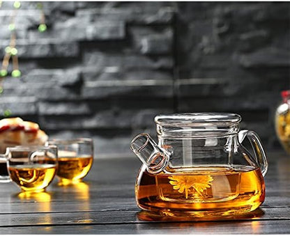 Glass Teapot with Infuser; Teapot with Strainer for Loose Tea; Safe on Stovetop; Nordic Pot 600ML/21oz with Glass Lid