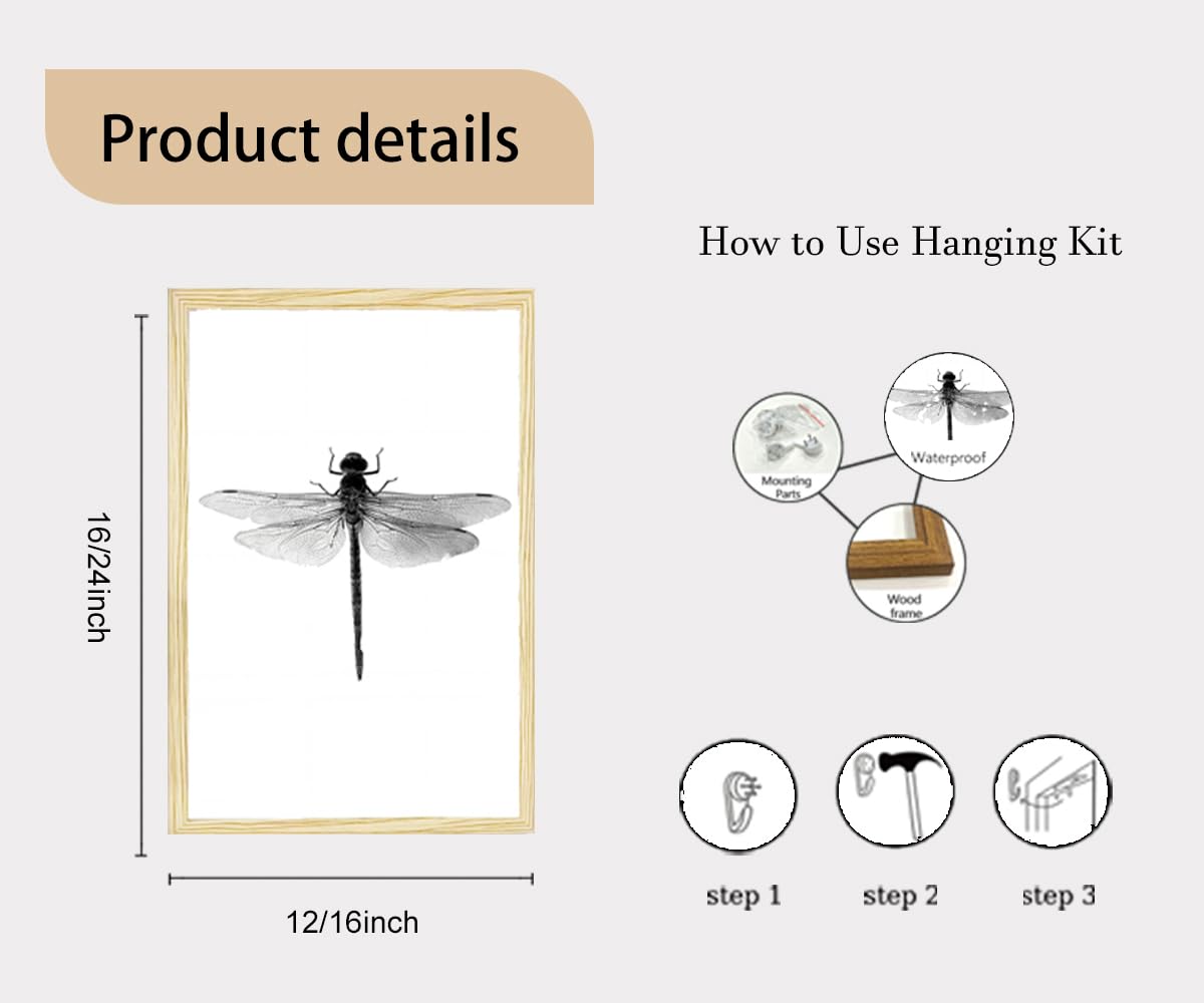 2pcs Black and White Minimalist Wall Art Modern Hummingbird Dragonfly Poster Print, Scandinavian Japandi Style Nature Picture Painting, Neutral Bedroom Living Room Wall Decor 12x16 Inches