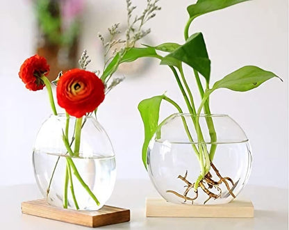 2-Pack, Kingbuy Round Glass Desktop Planter with Wooden Stand - Propagation Station for Small Hydroponic Plants, Spider