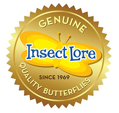 Insect Lore Raise and Release Butterfly Garden Kit – Caterpillar Habitat with redeemable Voucher – STEM-accredited Live Butterfly Growing Kit for Kids, Classrooms, and Homeschool Learning