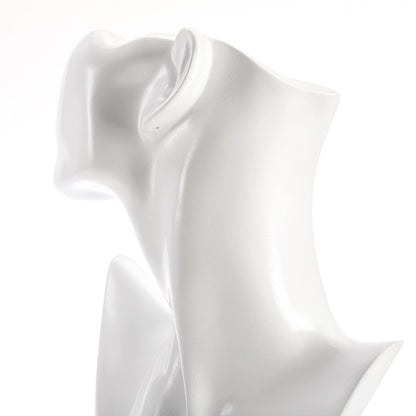 SOUJOY Jewelry Mannequin Display, Resin Display Stand Bust, Boutique Earring Holder Organizer for Show Jewelry, Necklace, Earrings, Rings, White