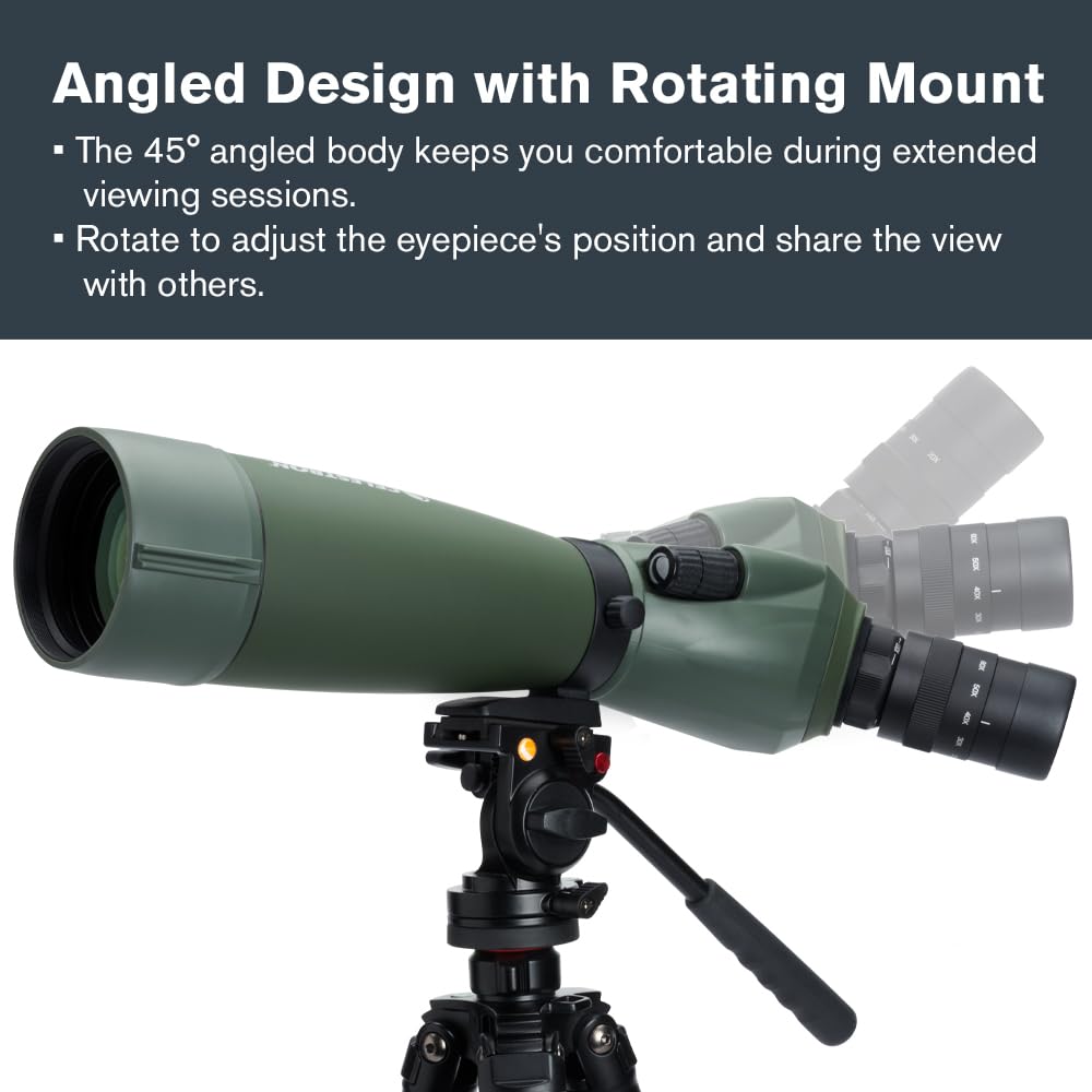 Celestron – Regal M2 80ED Spotting Scope – ED Glass for Birding and Outdoor Activities – Phase and Dielectric Coated BaK-4 Prism – Fully Multi-Coated Optics – Dual Focus – 20-60x Zoom Eyepiece