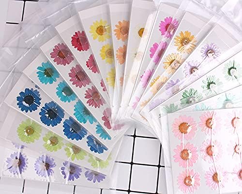 YouthBro 60Pcs White Dried Daisy Pressed Flowers Set for Resin DIY Jewelry, Candle, Soap, and Art Craft