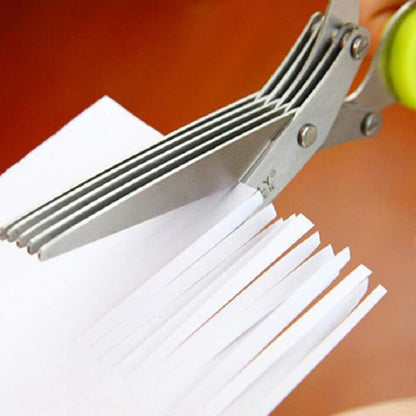 Scissors Herb Stripper Tools Kit, 5-Blades Stainless Steel Scissors with Kitchen Herb Stripping Tool