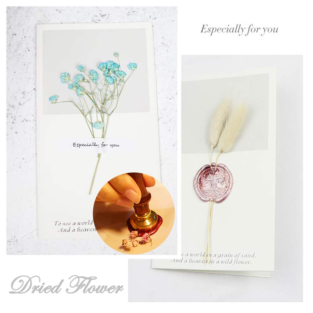 CRASPIRE Wax Seal Stamp Orange on Branch with Flower Leaf Sealing Fruit Retro Wood 25mm Removable Brass Head Handle for Party Wedding Invitation Envelope Greeting Card