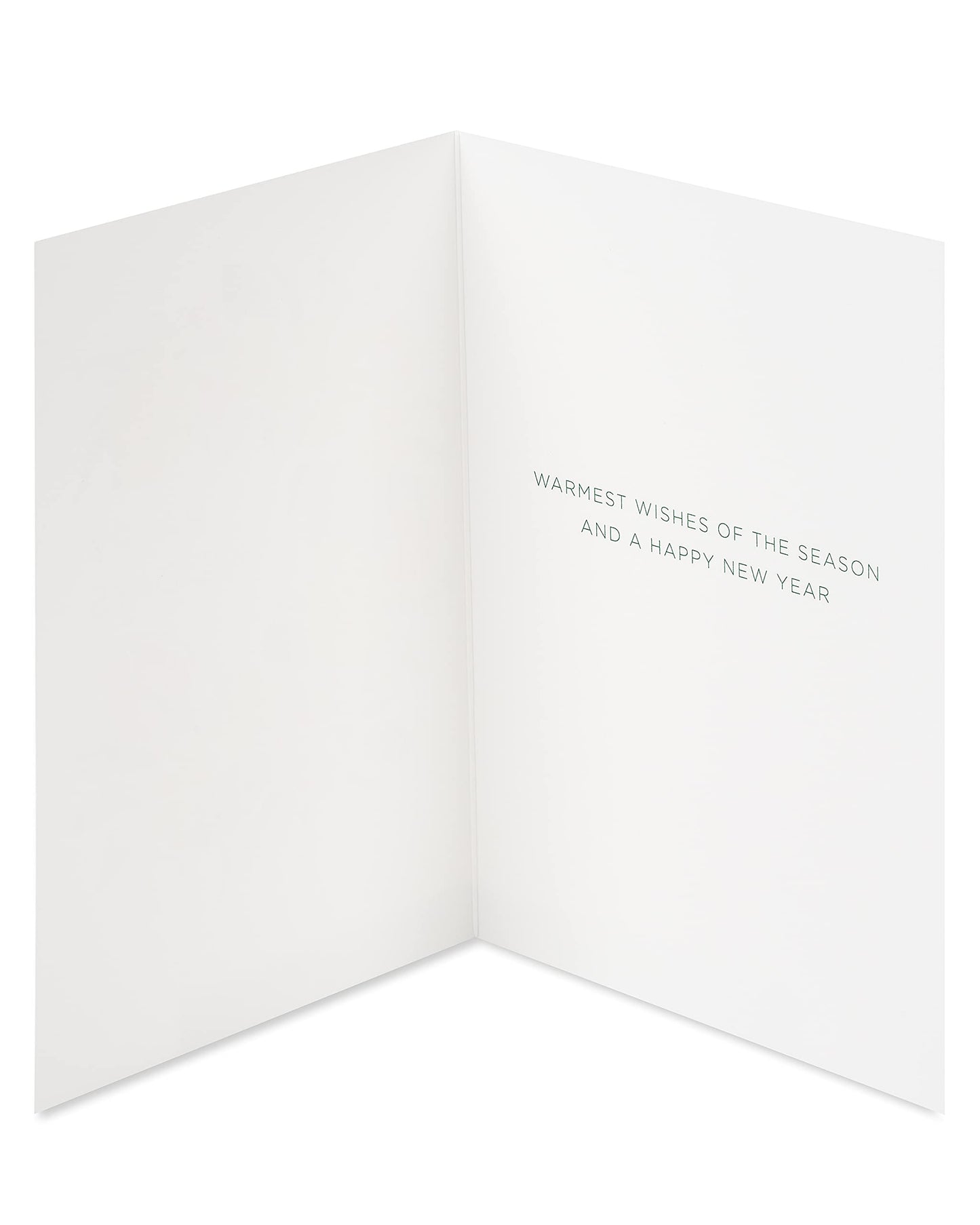 Papyrus Boxed Christmas Cards with Envelopes, Wishes of the Season, Citrus Wreath (14-Count)