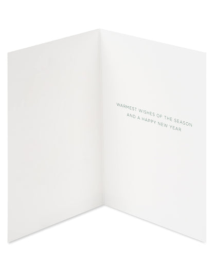 Papyrus Boxed Christmas Cards with Envelopes, Wishes of the Season, Citrus Wreath (14-Count)