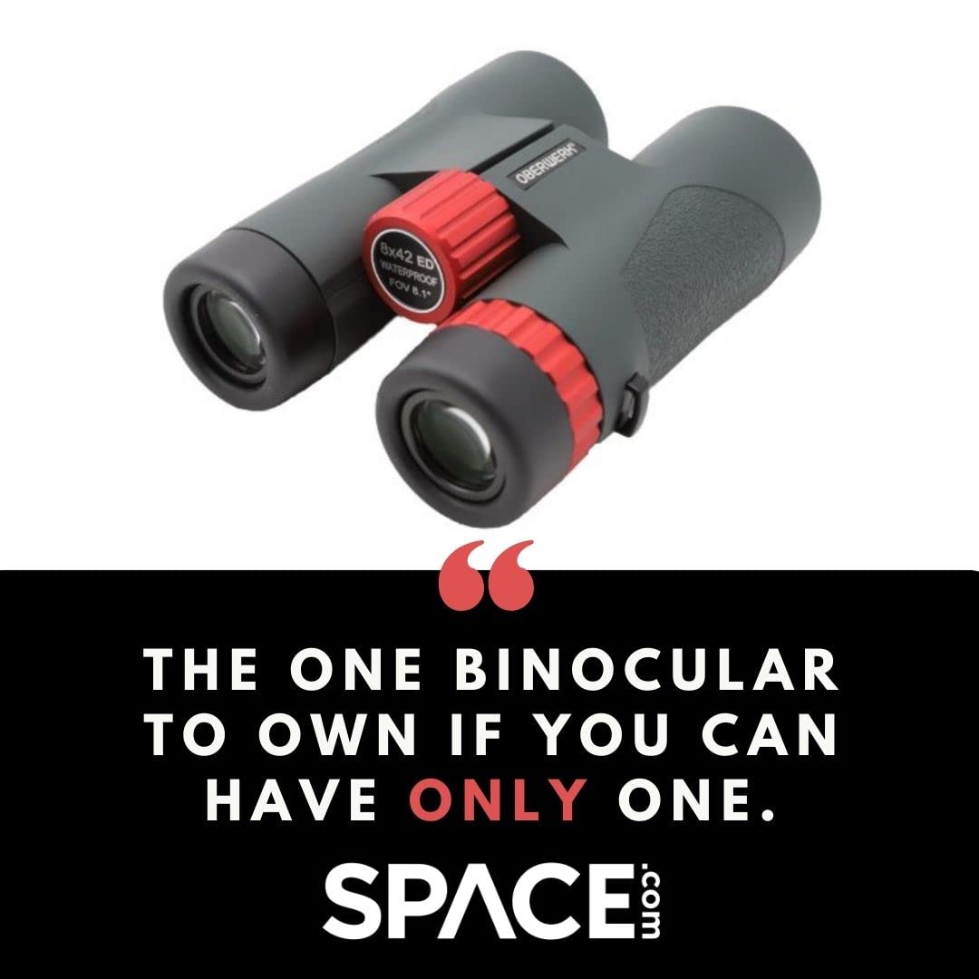Oberwerk Sport ED 8x42 Professional Binoculars, Roof Prism, Fully Multi-Coated & Waterproof, Dielectric & Phase-Coated Prisms, Twist-Up Eyecups, Bird Watching, Hiking & Outdoor Use, Green