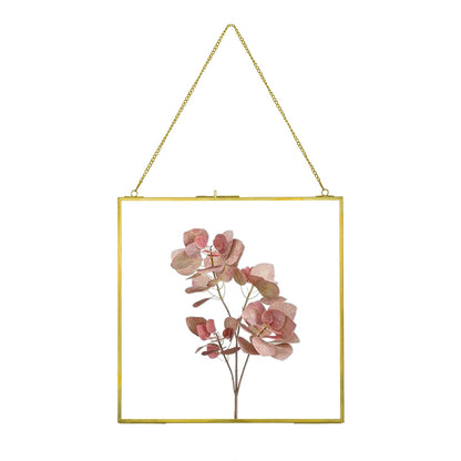 Pressed Flower Frame, Hanging Picture Frame for DIY Artwork Display Clear Glass Wall Brass Frames for Plant Specimen Dried Flower Square Photo Frame 6x6 - Gold