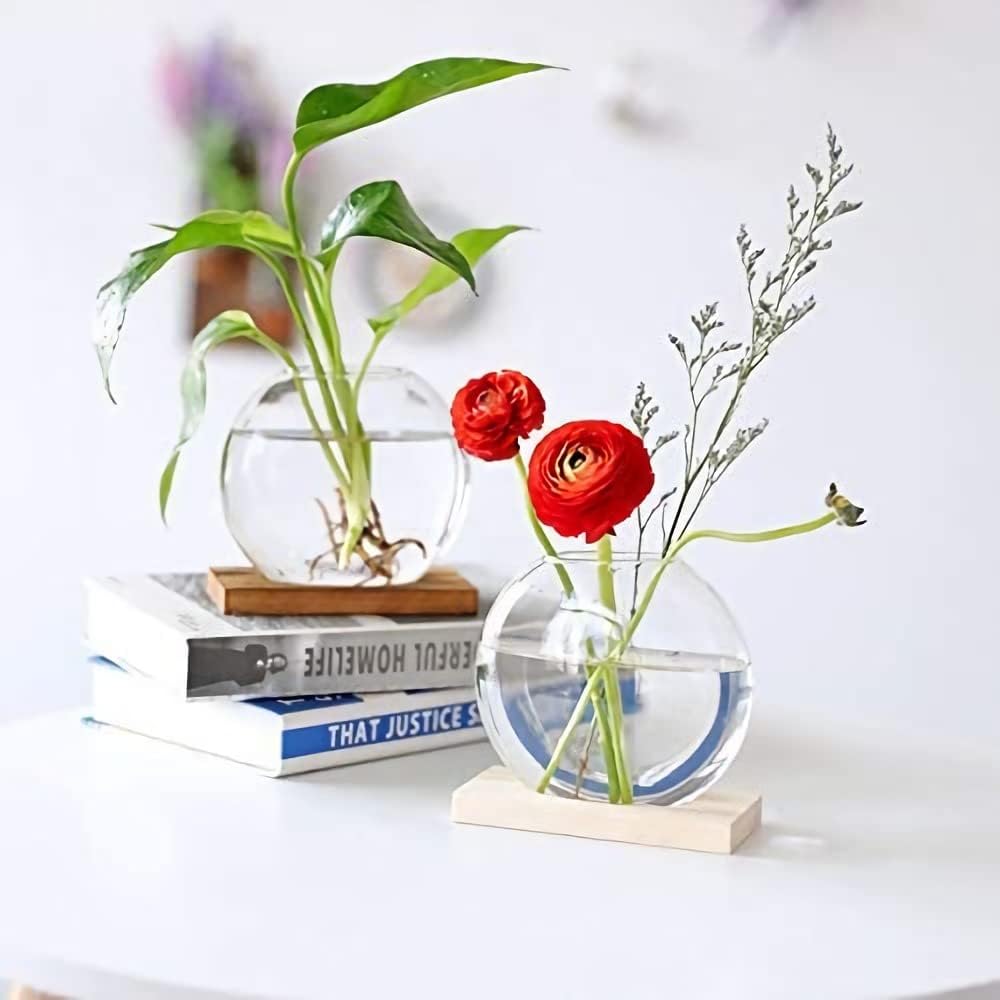 2-Pack, Kingbuy Round Glass Desktop Planter with Wooden Stand - Propagation Station for Small Hydroponic Plants, Spider