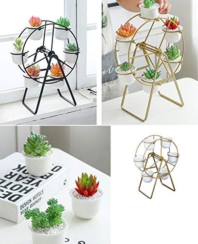 6 Ferris Wheel Plant Stand with Planters Succulent Pots for Home Office Desk Decoration (Black)