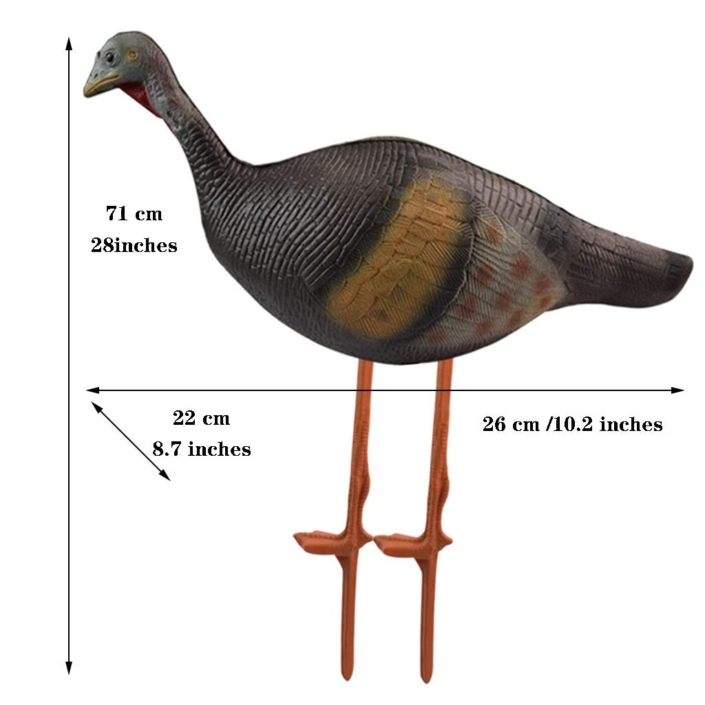 ZYCSKTL Archery Target Stand 3D Animal Model Target Frame, Outdoor Solid Simulation Practice Archery Target Frame, Archery Bow and Arrow Target (Color : Female Turkey)