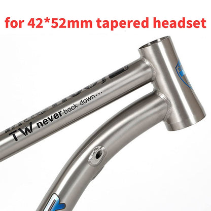 HIMALO Bike Frame 27.5/29er Mountain Bike Frame 15.5''/17''/19'' Lightweight Titanium Alloy Rigid Frame Disc Brake Thru Axle 12x142mm XC AM(29 * 19'')