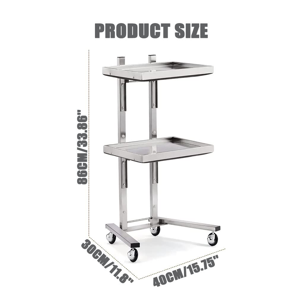 2-Tier Metal Rolling Cart, Stainless Steel Storage Trolley with Wheels, Utility Kitchen Stand for Bedroom, Salon, Tattoo Shop, and More