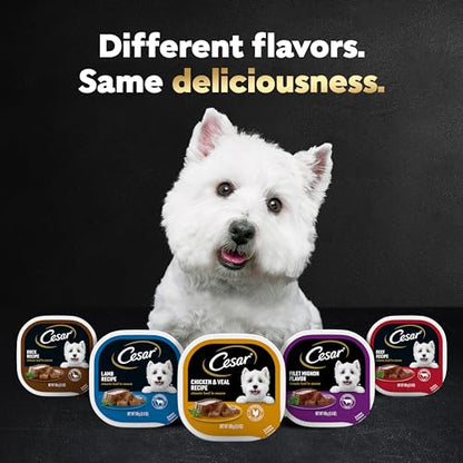 Cesar Puppy Wet Dog Food Classic Loaf in Sauce Chicken & Beef Recipe, 3.5 oz. Easy Peel Trays (24 Count, Pack of 1)