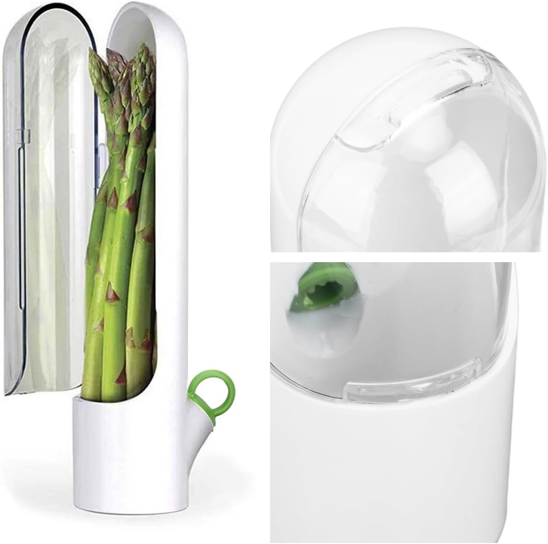 Lasting Refrigerator Herb Keeper, Fresh Storage Container for Asparagus, Coriander, Mint, Keeps Greens Fresh