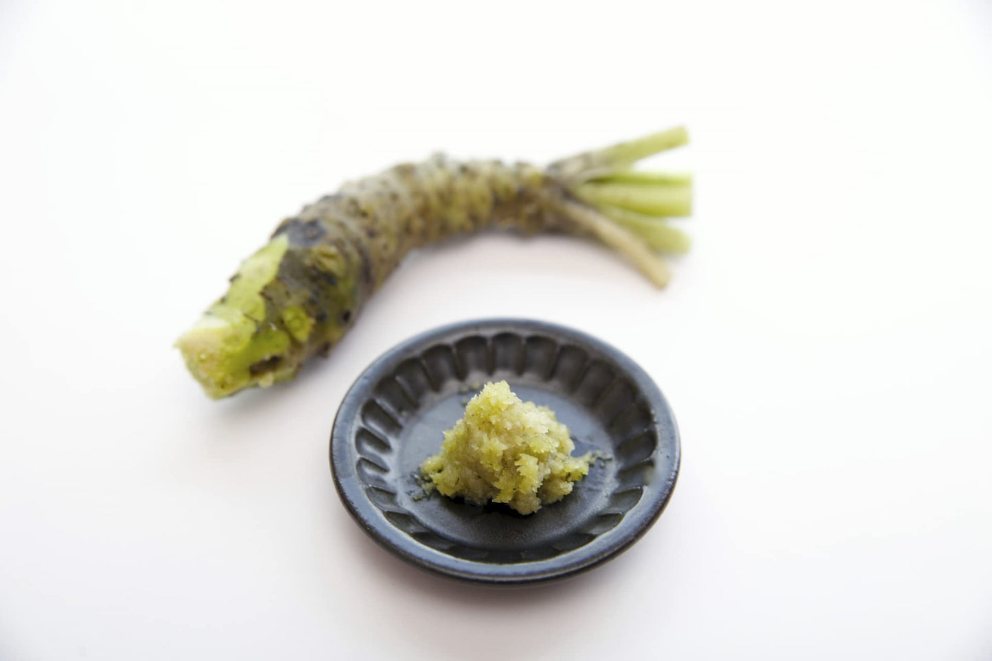 Mokkosu Japanese Classic Grater for Wasabi and Ginger, Small Size, Made in Japan
