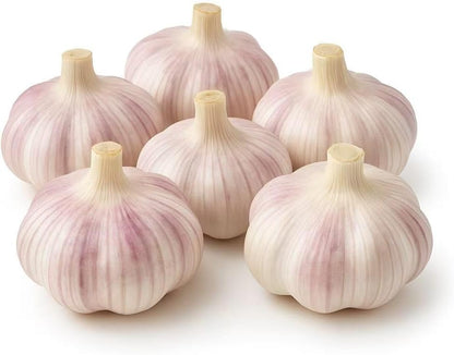 Loseedsoo Bulbs (6 Pack) Garlic for Planting Fresh Hardneck Seed Garlic, Non-GMO Heirloom Cloves for Growing or Cooking