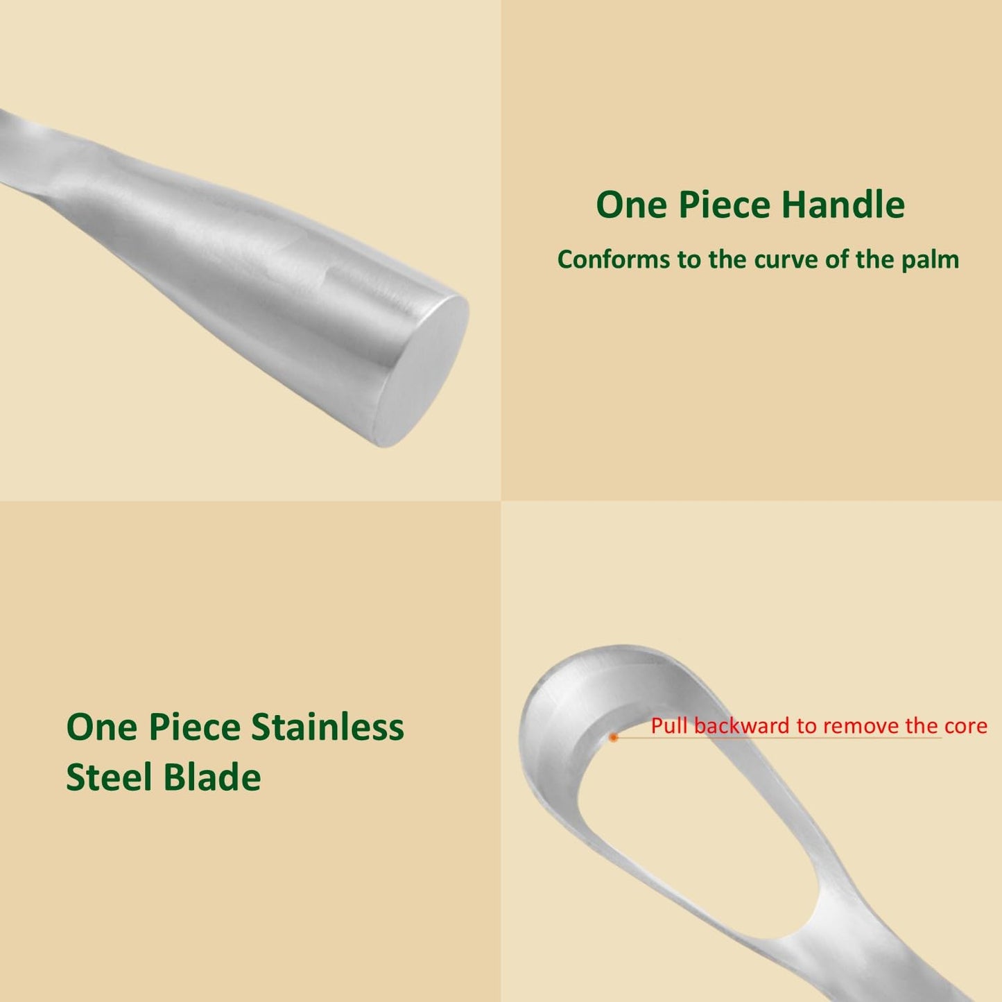accufine Jackfruit Core Cutting Knife