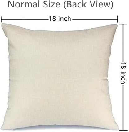 Abstract Boho Pillow Covers 18x18 Inch, Terracotta Beige Throw Pillow Cases Set of 4 for Sofa Couch