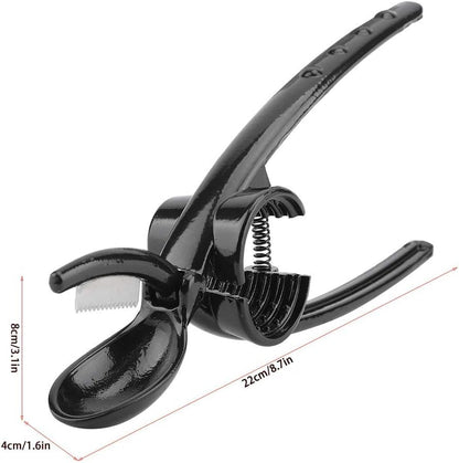 Fdit 2 in 1 Kitchen Quick Chestnut Clip, Aluminum Alloy Nut Cracker Sheller and Opener Plier