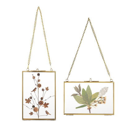 JUXYES Set of 2 Wall Hanging Brass Frames for Pressed Flowers, Golden Modern Hanging Picture Artwork Display Frame, Double Glass Floater Style Gallery Wall Frame for Photo Picture Poster etc, 4x6 Inches