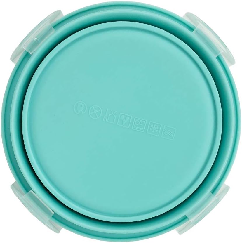 CARTINTS Small Collapsible Bowl, Silicone Food Storage Containers for Camping with Airtight Lids