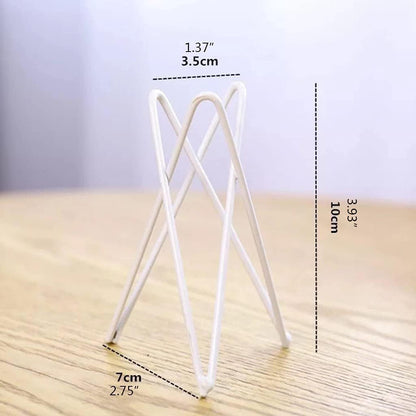 White Metal Air Plant Holder, Geometric Iron Tillandsia Stand, Art Display Home Garden Ornaments for Plant