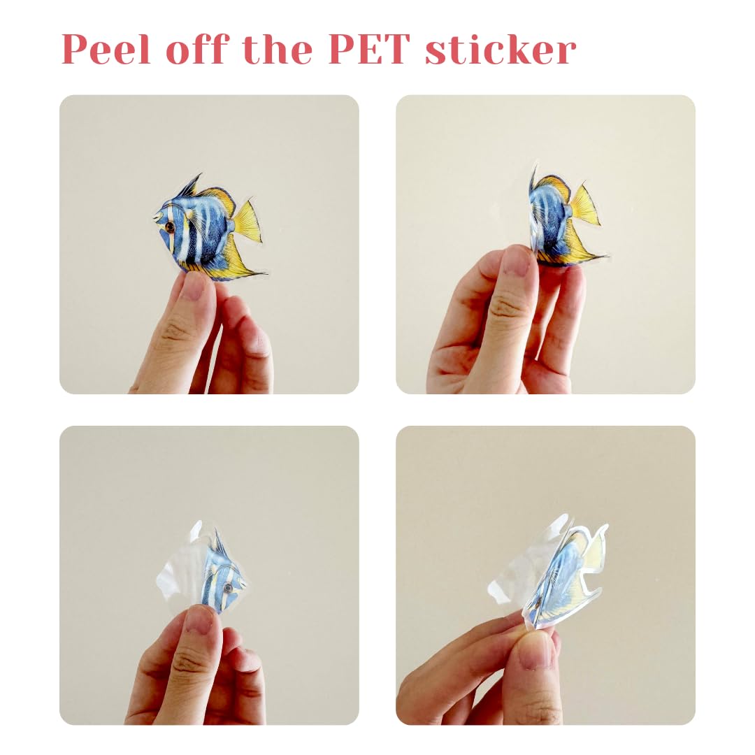 200 Pcs Clear PET Stickers - Watercolor Butterfly, Dragonfly, Hummingbirds & Sea Animals - 50 Unique Designs Per Theme - Aesthetic Stickers for Journals, Scrapbooks, Laptops & DIY Crafts