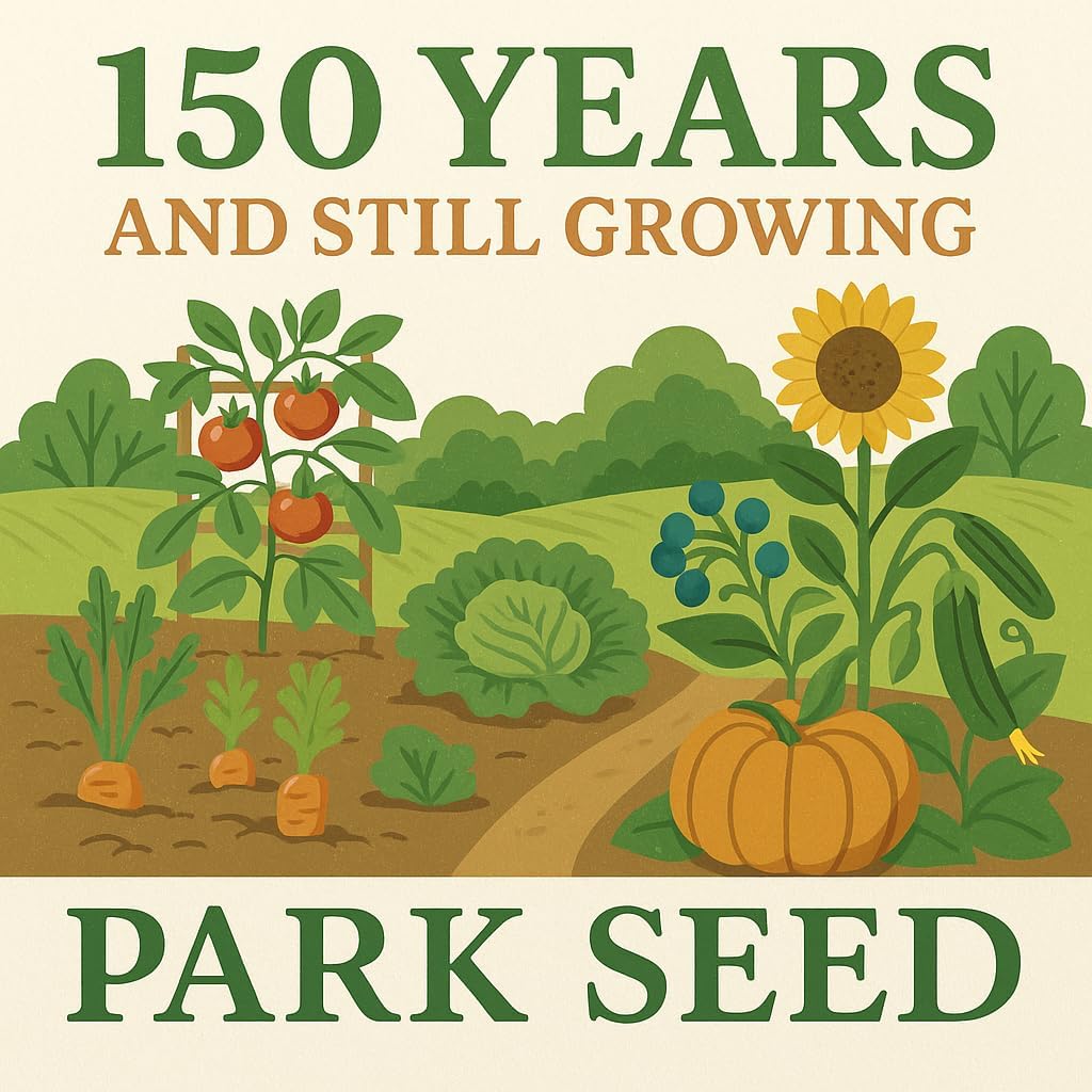 Pack 200 Park Seed Variety of Corn Seeds, Non-GMO Vegetable Seeds for Planting, Easy to Grow, Perfect for Harvesting