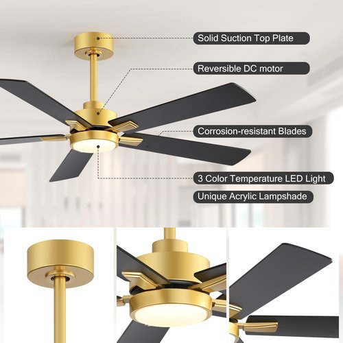 Ceiling Fans with LED Lights, 52 Inch 5-Blade Ceiling Fan Remote Control, Industrial Ceiling Fan with Reversible DC Motor, Downrod Mount LED Ceiling Light Chandelier for Bedroom (Gold & Black)