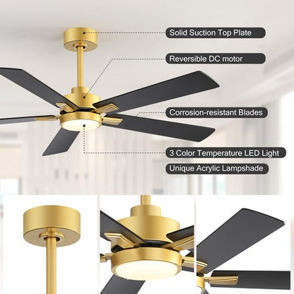 Ceiling Fans with LED Lights, 52 Inch 5-Blade Ceiling Fan Remote Control, Industrial Ceiling Fan with Reversible DC Motor, Downrod Mount LED Ceiling Light Chandelier for Bedroom (Gold & Black)