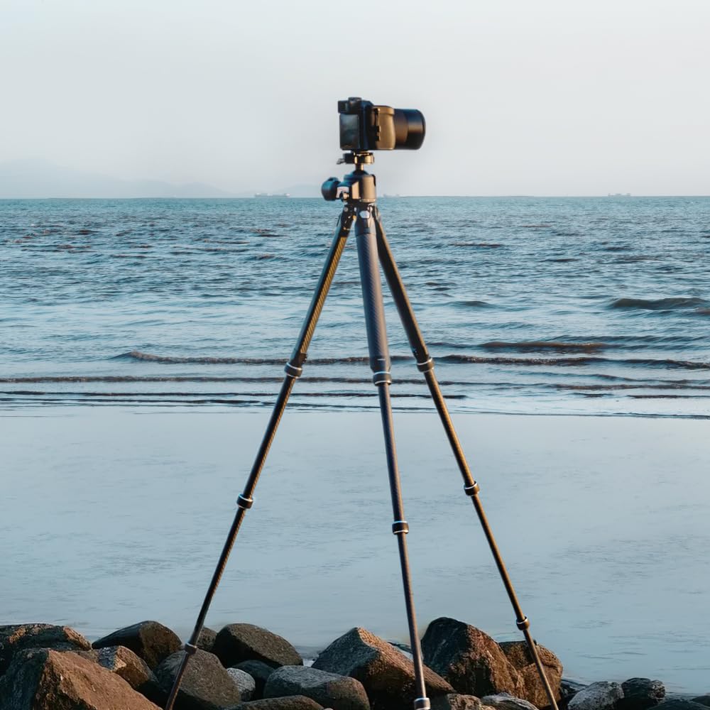 FALCAM TreeRoot Carbon Fiber Small Tripod R140T, 4-Section Legs,Quick Lock Tripod Only-T00A4904
