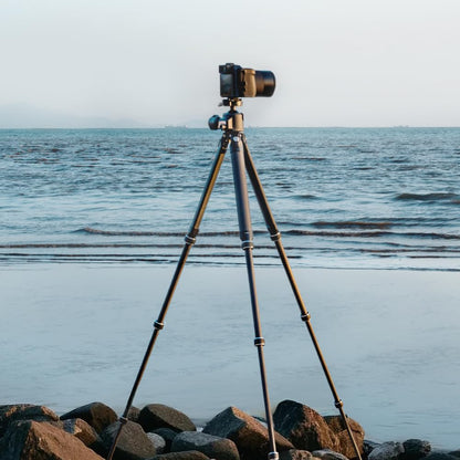 FALCAM TreeRoot Carbon Fiber Small Tripod R140T, 4-Section Legs,Quick Lock Tripod Only-T00A4904