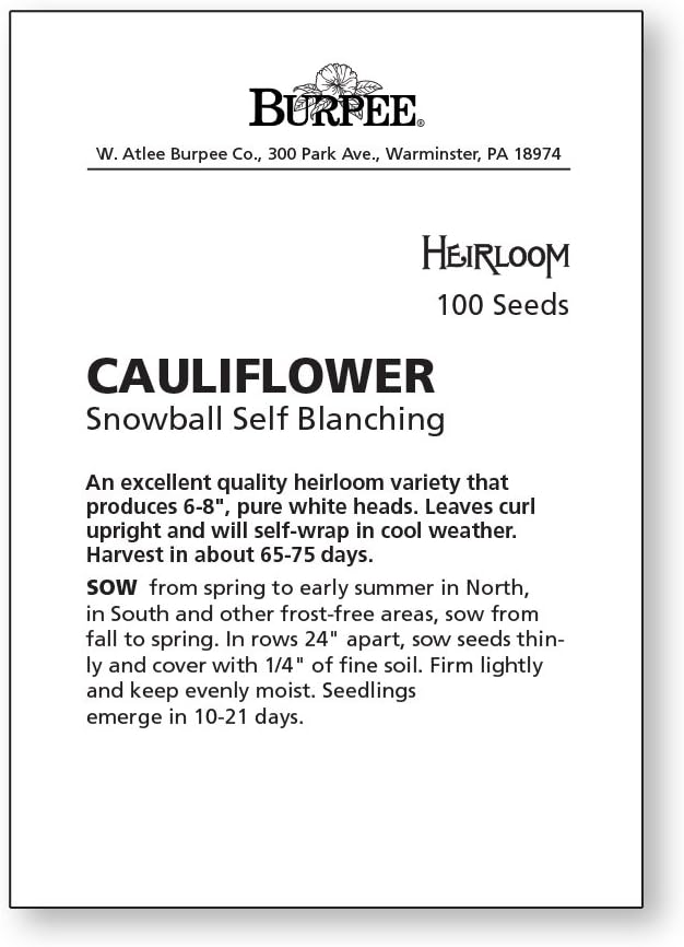100 Burpee Snowball Self-Blanching Cauliflower Seeds seeds