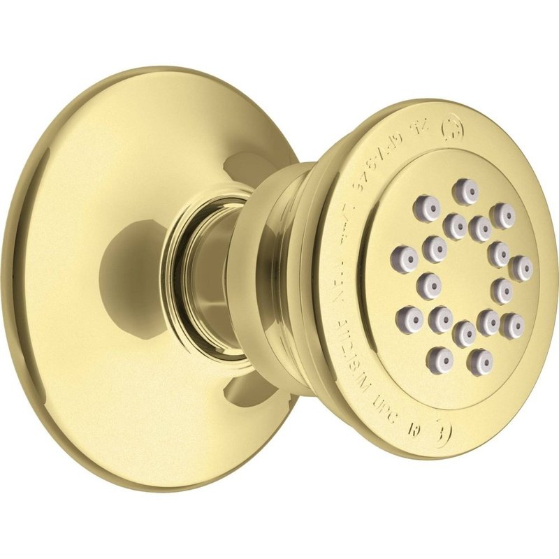 Moen A501P Body Spray for M-PACT System, Polished Brass
