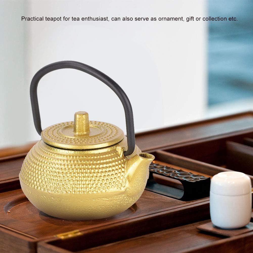 Gaeirt 50ml Cast Iron Tea Pot - Flat Bottom Tea Infuser with Handle and Spout, Exquisite Water Kettle for Home Kitchen