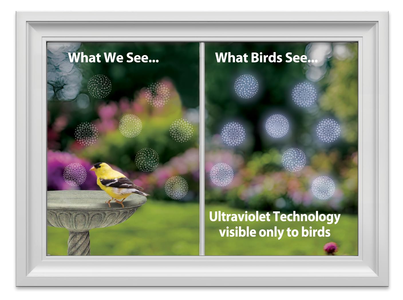 WindowAlert Performance Series Modern Dots Anti-Collision Decal - UV-Reflective Window Decal to Protect Wild Birds from Glass Collisions - Made in the USA