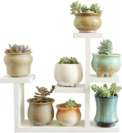 Compact White Wooden Mini Tabletop Plant Stand
