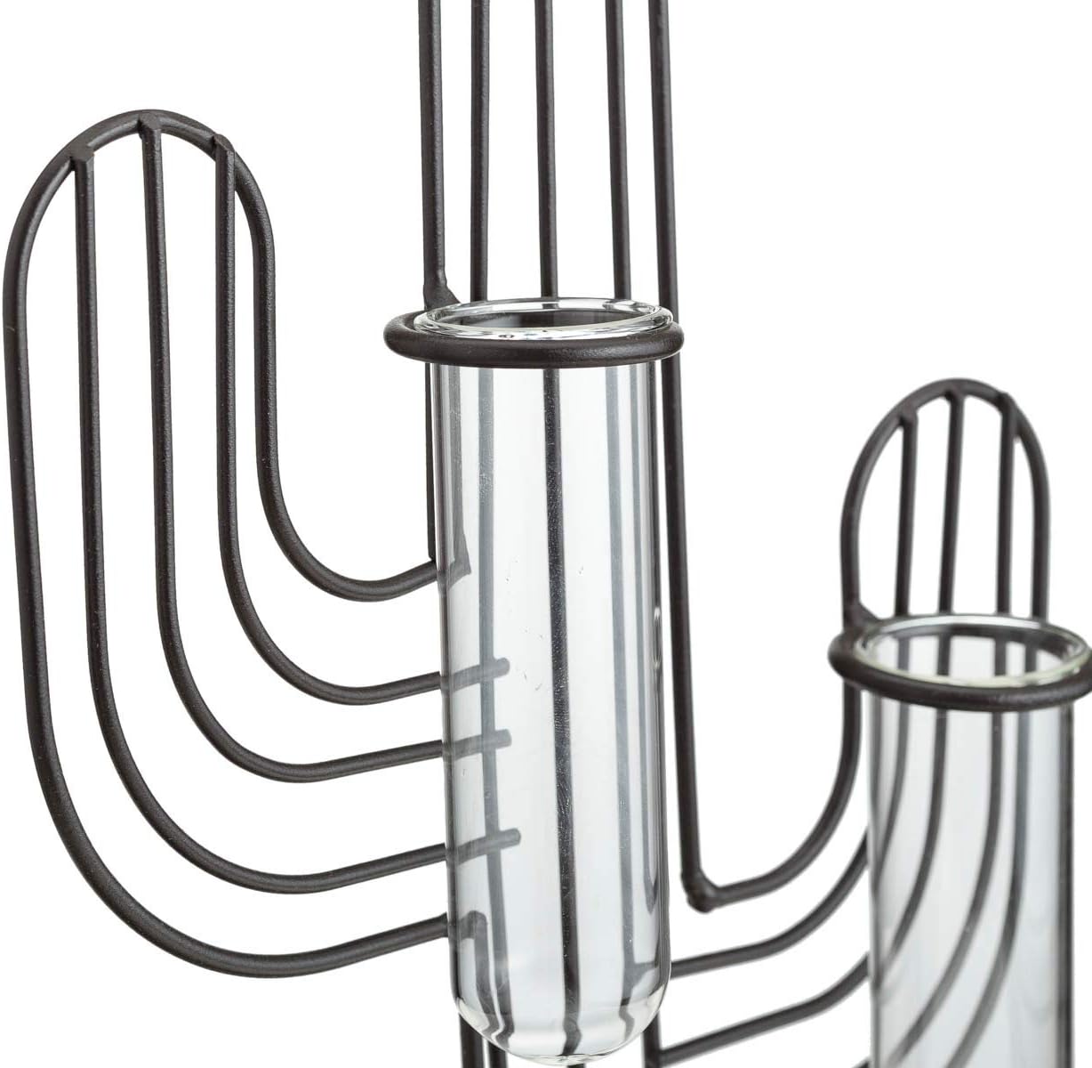 TJ Global Cactus Double Test Tube Vase Planter Holder, Plant Terrarium, Propagation Station, Metal Stand