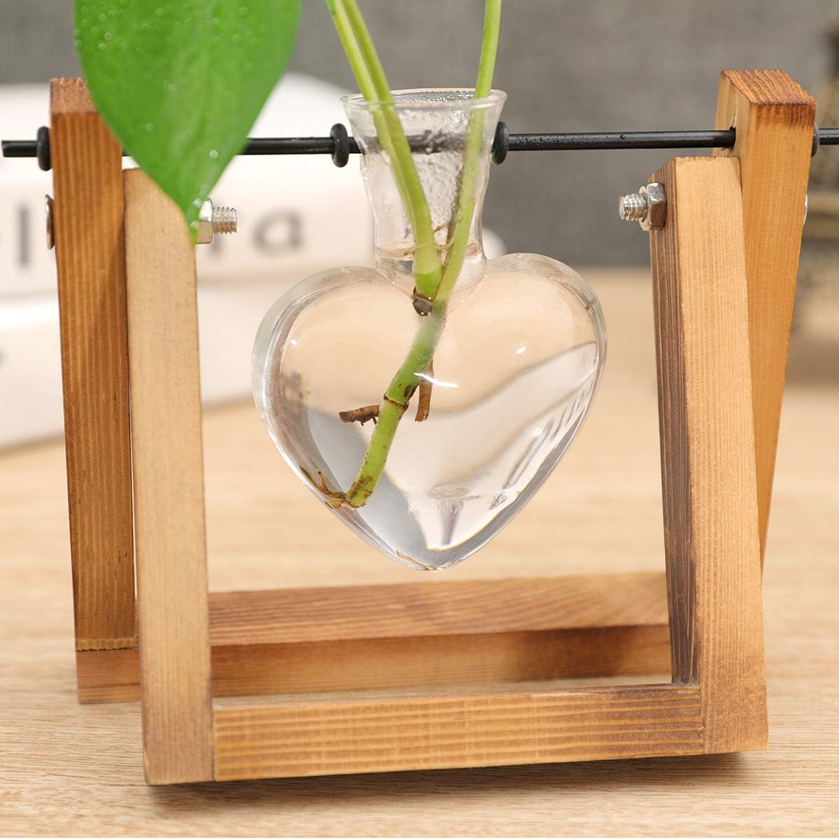 1 Kingbuy Terrarium with Wooden Stand, Desktop Propagation Station, Air Plant Holder, Metal Swivel Holder