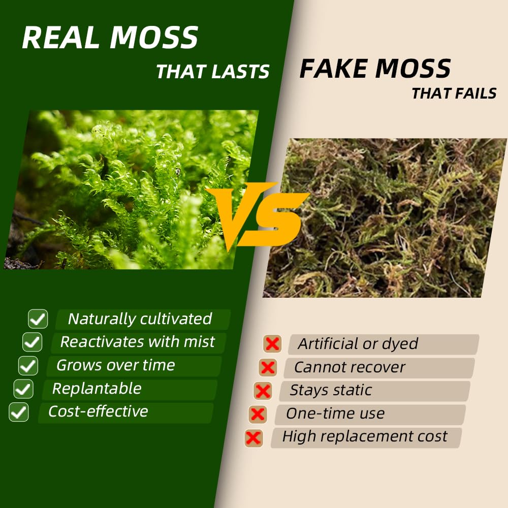 Live Moss Variety Pack for Reptiles– 3-Pack Mixed Real Terrarium Mosses (Each 3.5" x 7") – Live Sheet/Sphagnum Moss for Snake Gecko Turtle Frog Habitats, DIY Plant Décor – Fresh Reptiles Substrate