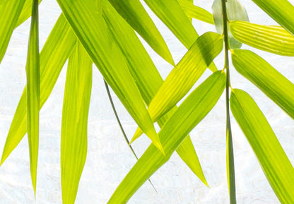 artgeist Japanese Room Divider XXL Spa Zen Oriental 90 x 67 in - 5 Panel Folding Screen Japan Design Home Decoration Art Deco p-C-0016-z-c