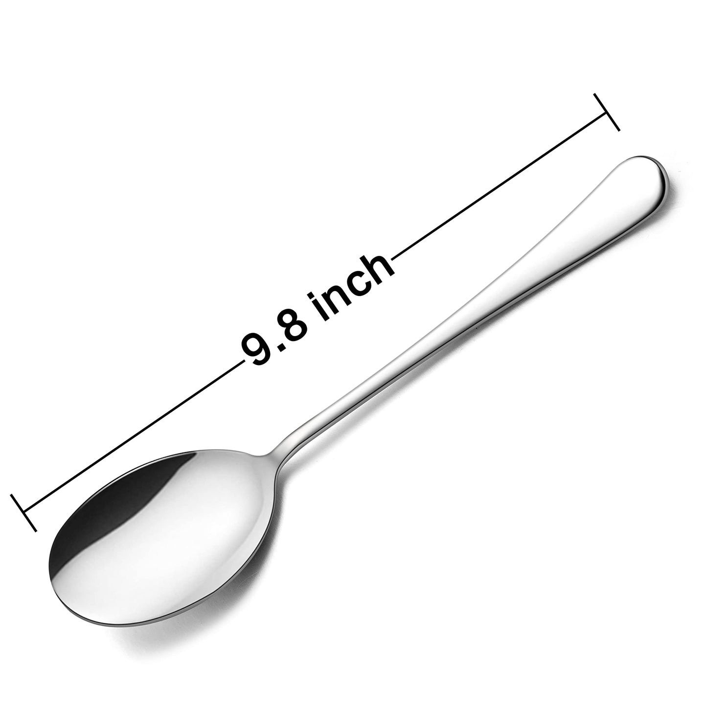 HaWare Serving Spoons X 6, 9.8 inches Large Size Stainless Steel Spoon Service for Home, Elegant Design for Kitchen/Buffet/Party, Mirror Polished and Dishwasher Safe(6 Pack)