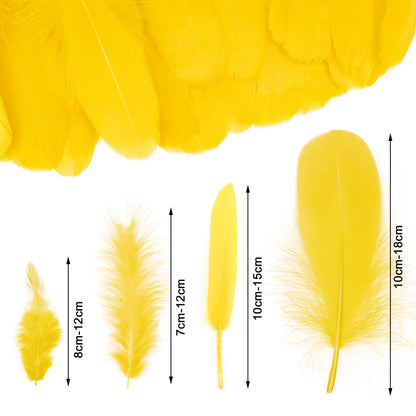 MWOOT 4 Styles Assorted Crafts Feathers (Yellow)